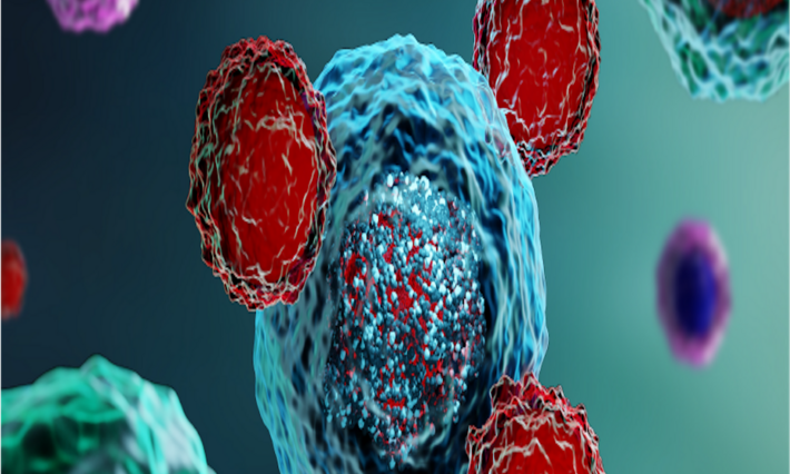 Multi-dimensional image of immune cells