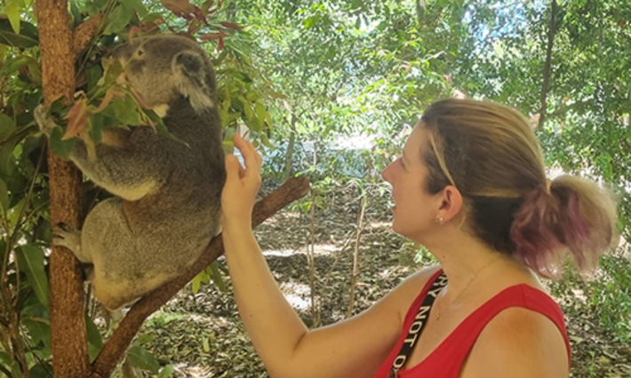 A woman reaches out toward a koala in a tree. 
